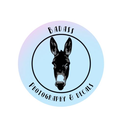 Bada$$ Photography and Decals